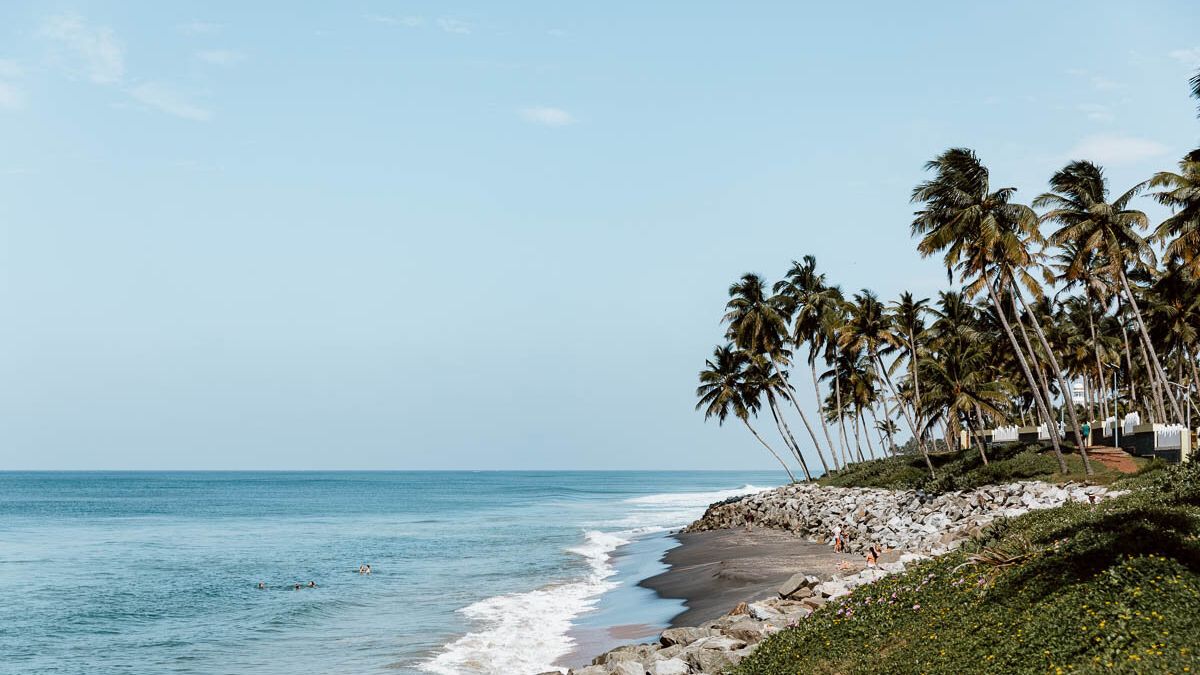 Palms along the Varkala coastline