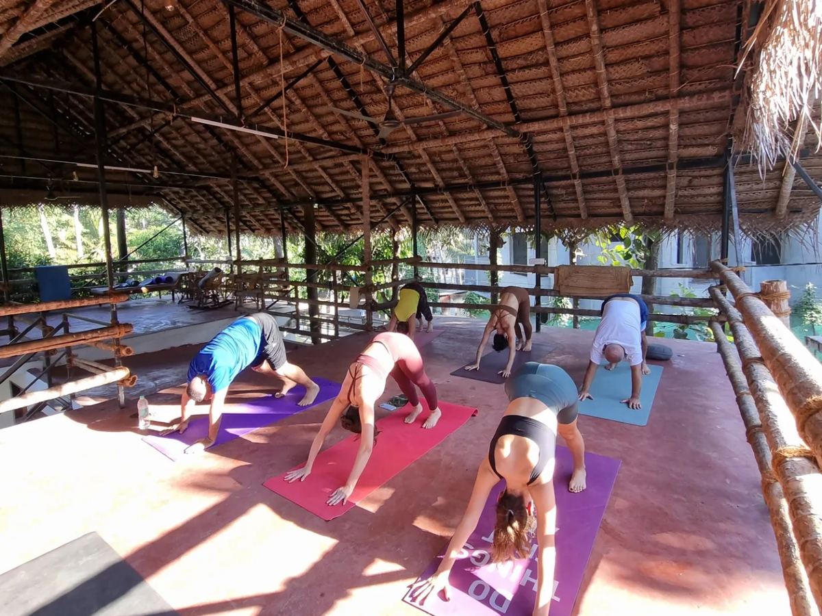 The group in downward dog